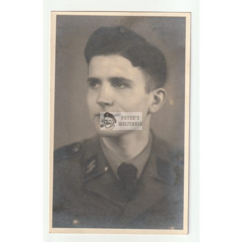 SS Schüzte portrait Bonn - postcard size