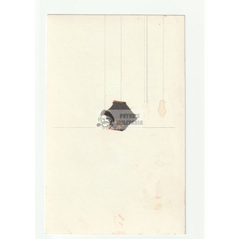 SS Schütze profil fotó - képeslap méret