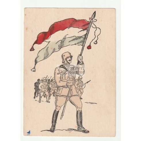 Honvédek zászlóval képeslap