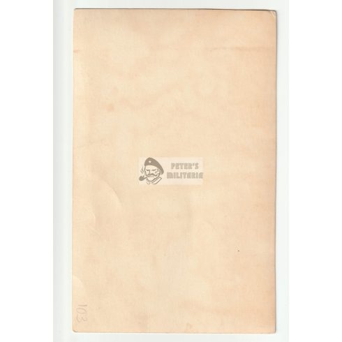 Luftwaffe portréfotó