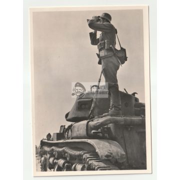 Waffen SS képeslap