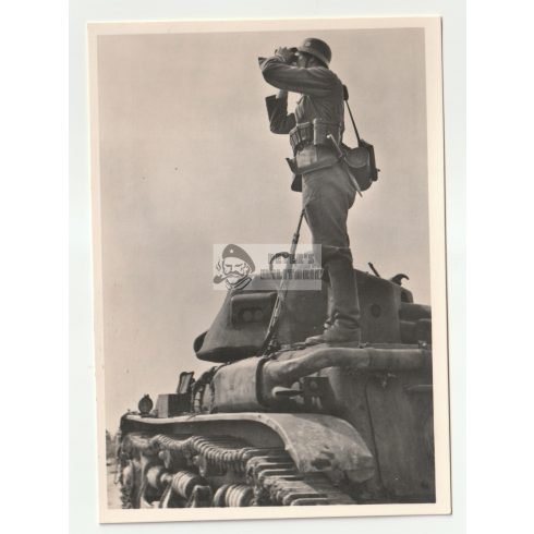 Waffen SS képeslap