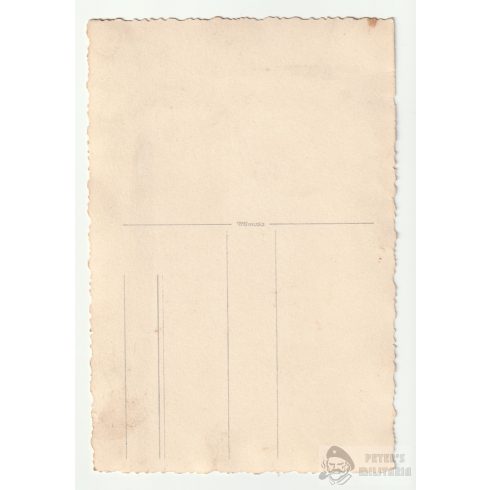 Luftwaffe portré - DVL övcsat