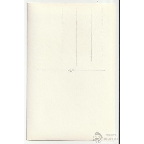 Páncélos Feldwebel portré - EK1 - EK2 - PAB
