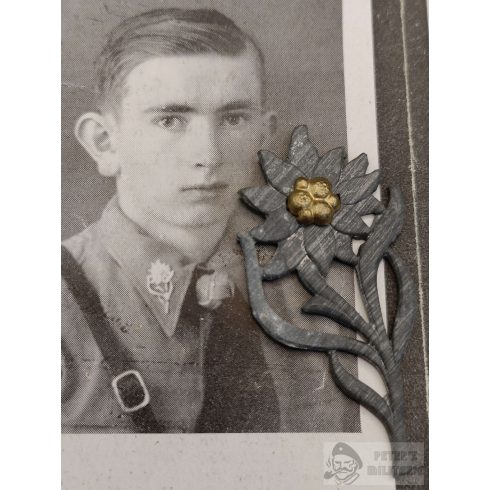 Hitlerjugend sterbebild és Edelweiss