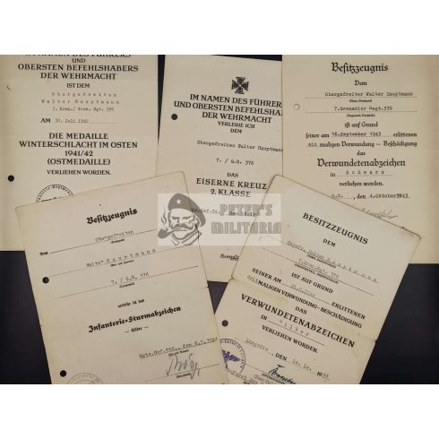 5 award document for one person - Walter Hauptmann