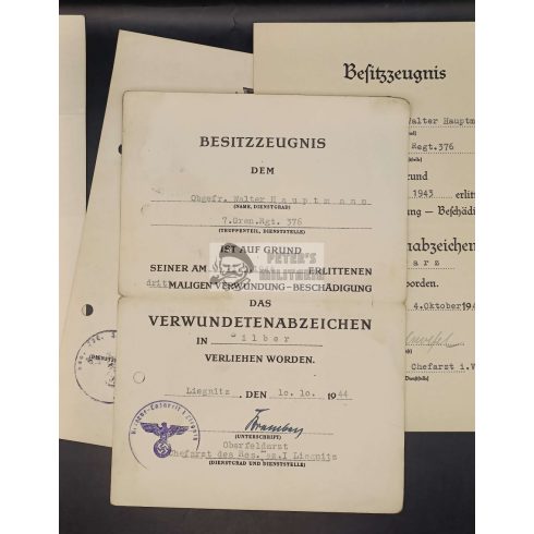 5 kitüntetés adományozó egy személyhez - Walter Hauptmann