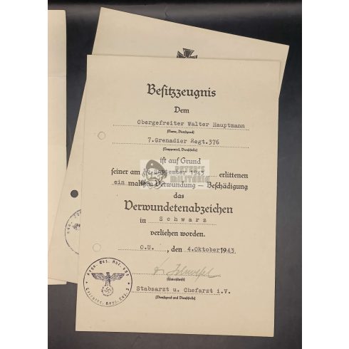 5 kitüntetés adományozó egy személyhez - Walter Hauptmann