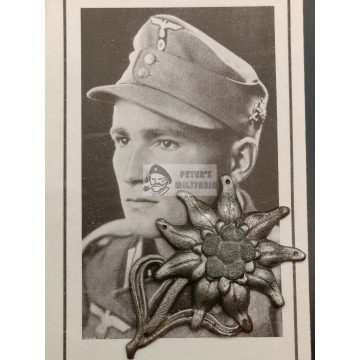 Gebirgsjäger Edelweiss with death card