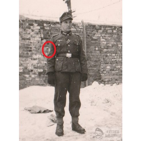 Gebirgsjäger Edelweiss sleeve insignia with wear photo