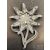 Hegyivadász havasigyopár - Gebirgsjäger Edelweiss  "CTD"