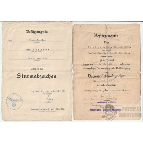 Általános Rohamjelvény és Ezüst Sebesülési jelvény adományozó - Páncélvadász & Felderítő 