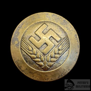 RADWJ Jungführerin bross