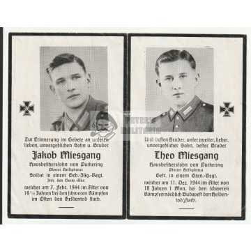   Halálozási értesítő (HUN) - Theo Miesgang - Budapesttől északra Vác környéke