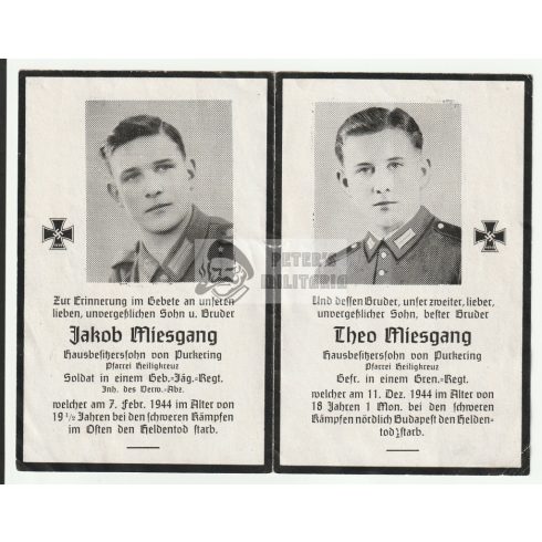 Halálozási értesítő (HUN) - Theo Miesgang - Budapesttől északra Vác környéke